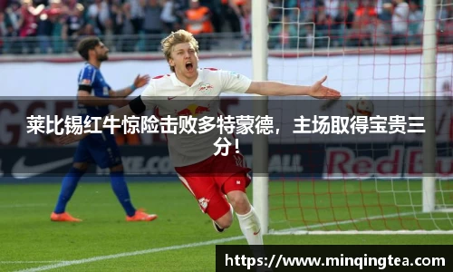 莱比锡红牛惊险击败多特蒙德，主场取得宝贵三分！